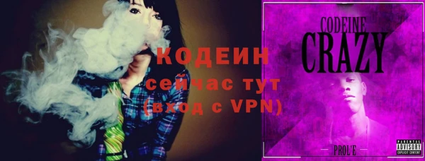 крисы Абаза