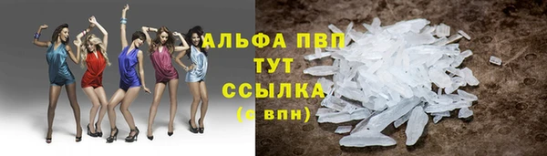 крисы Абаза