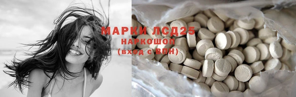крисы Абаза