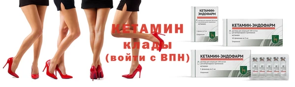 амф Пестово
