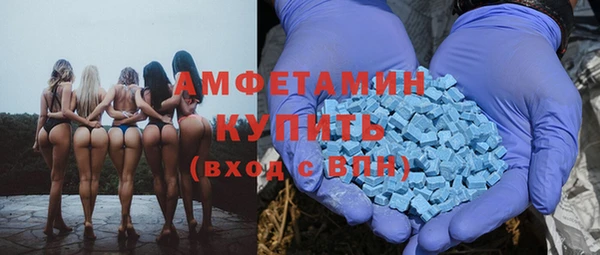 крисы Абаза