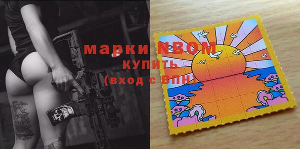 крисы Абаза