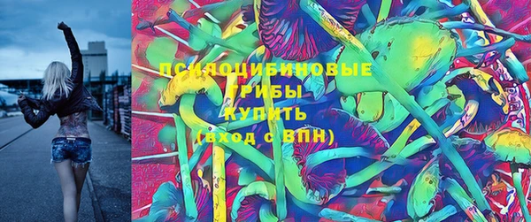 амф Пестово